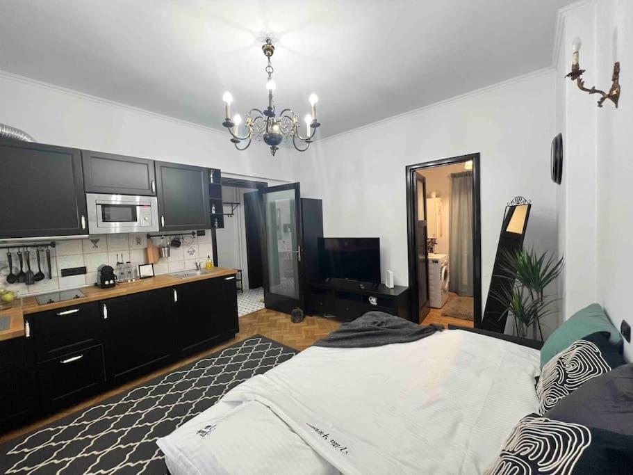 Floreasca Appartement Bucarest