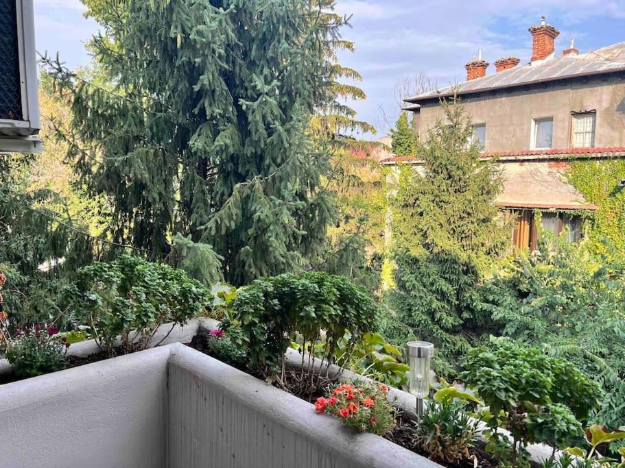 Floreasca Apartment