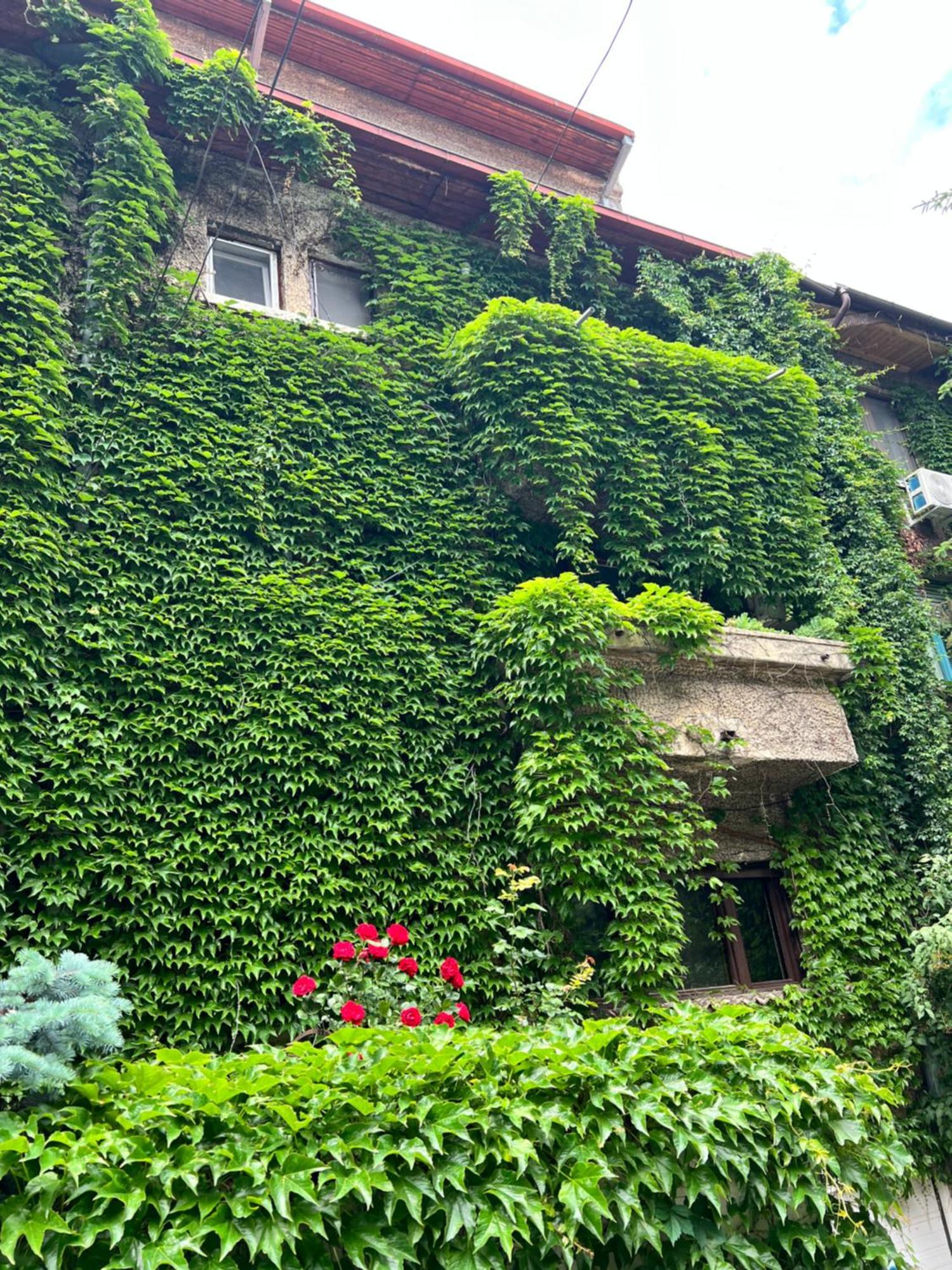 Appartement Floreasca Bucarest